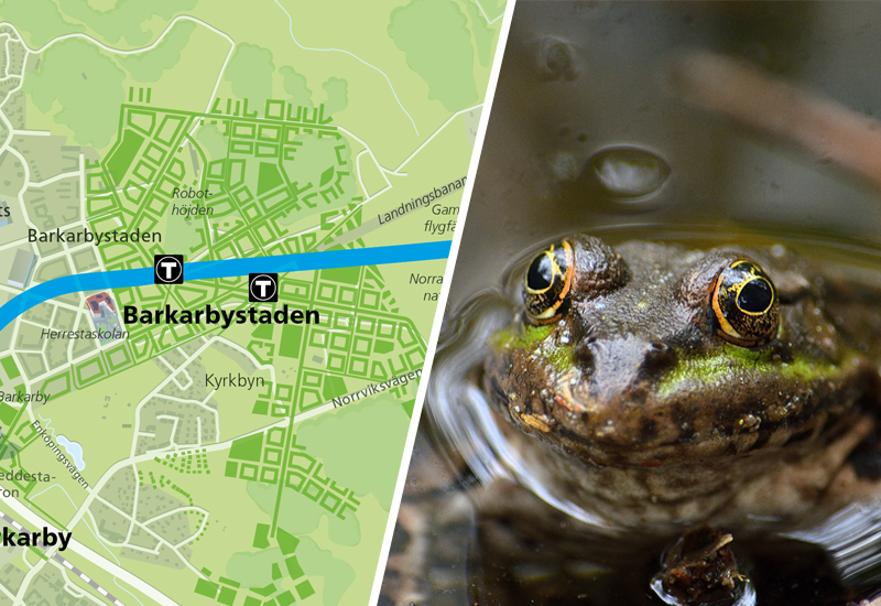 Karta över arbetsområdet i Barkarby och ett foto på en groda.