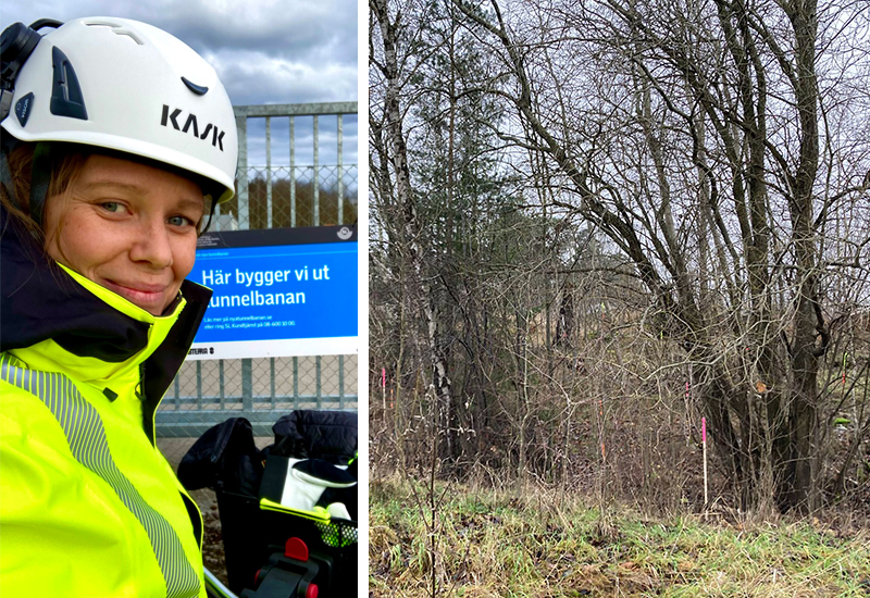 Collage med person till höger och skogsdunge till höger
