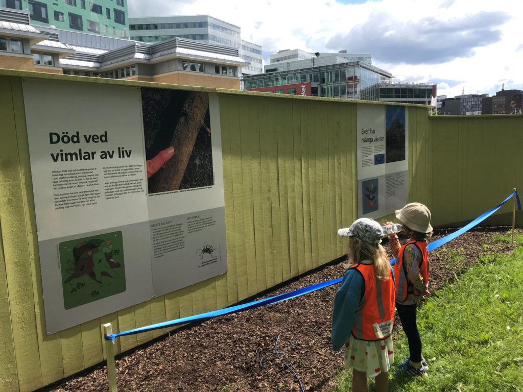 Naturspåret i Vasalundsparken